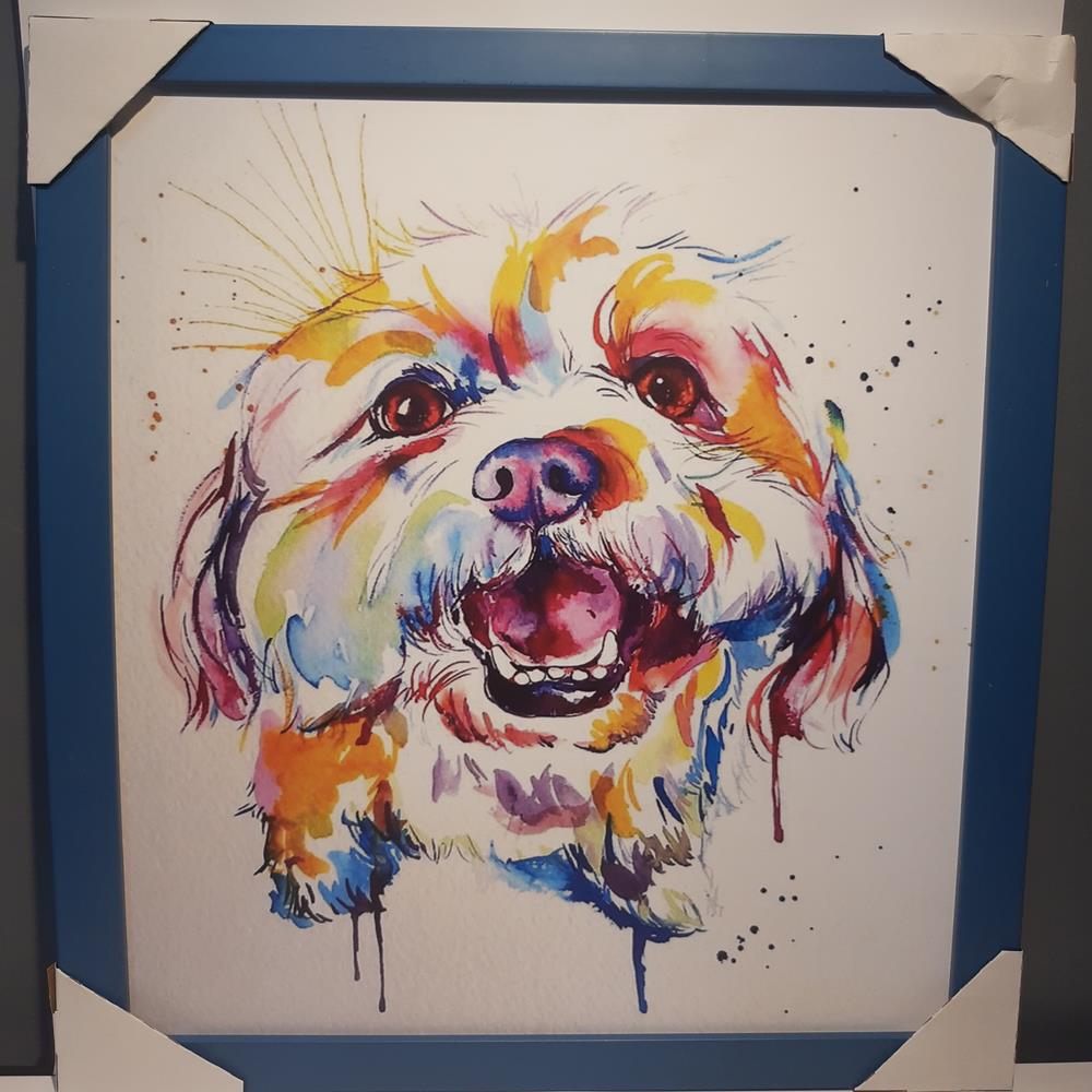 Quadro Cachorro, Moldura Azul De Madeira, Medidas De 41x32 - Outlet 